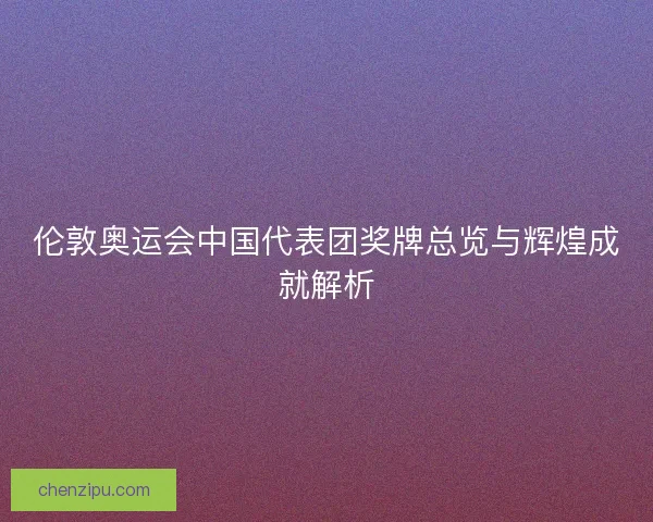 伦敦奥运会中国代表团奖牌总览与辉煌成就解析