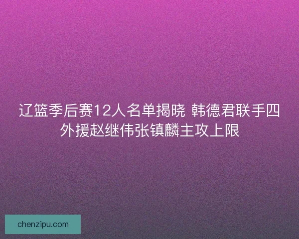 辽篮季后赛12人名单揭晓 韩德君联手四外援赵继伟张镇麟主攻上限