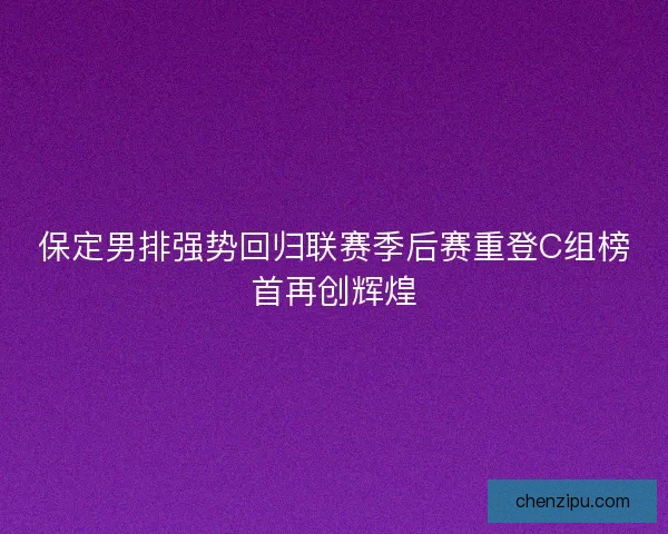 保定男排强势回归联赛季后赛重登C组榜首再创辉煌